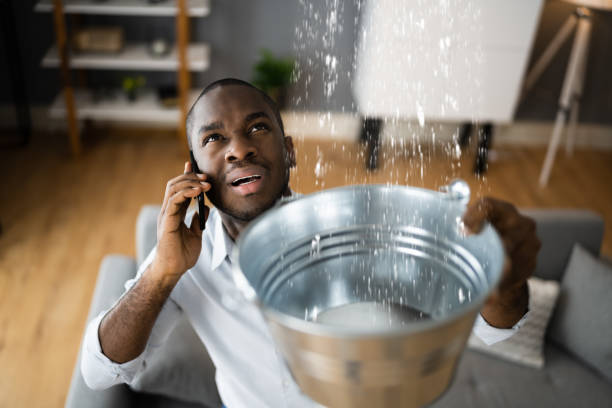 Best Professional water damage repair  in Jonesville, NC