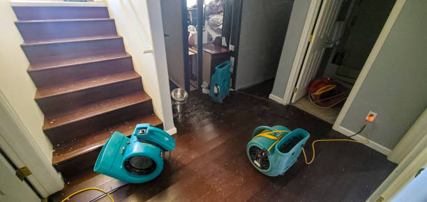 Best 24/7 water damage repair  in Jonesville, NC