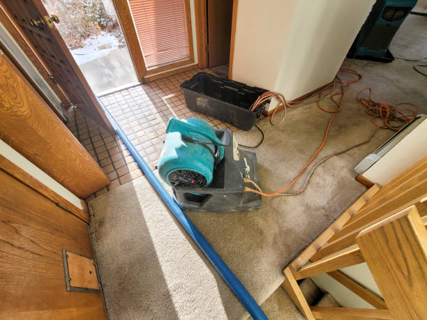 Best Ceiling water damage repair  in Jonesville, NC