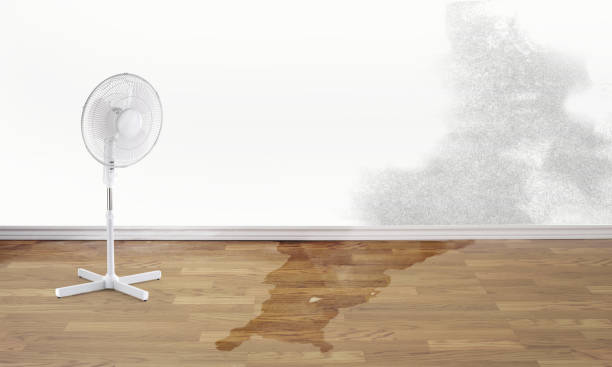  Jonesville, NC Water damage restoration Pros