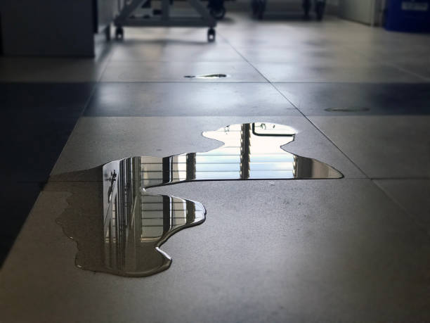 Best Professional water damage repair  in Jonesville, NC