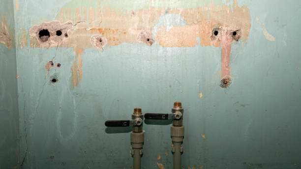 Best Water damage contractors near me  in Jonesville, NC