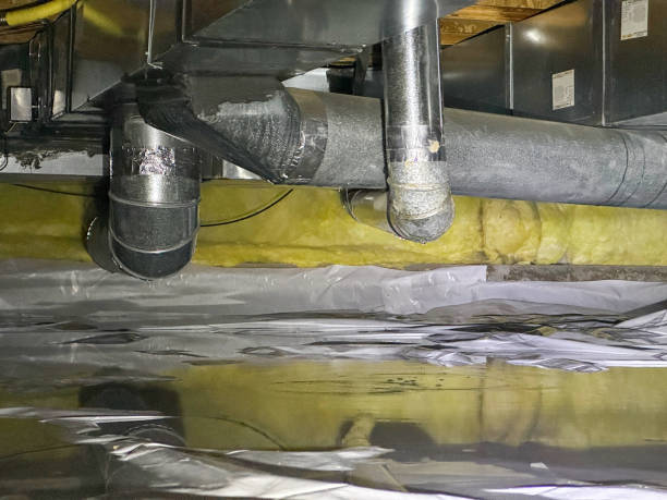 Best Flood damage cleanup  in Jonesville, NC