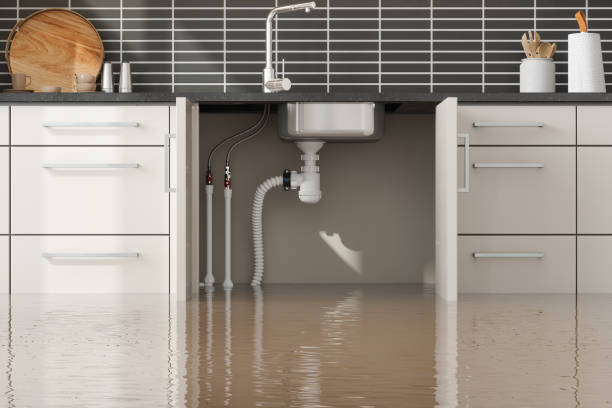 Best Local water damage restoration  in Jonesville, NC